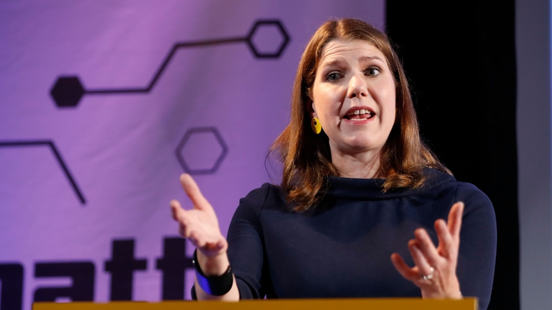 Jo Swinson has proposed a caretaker government led by either Tory MP Ken Clarke or Labour MP Harriet Harman