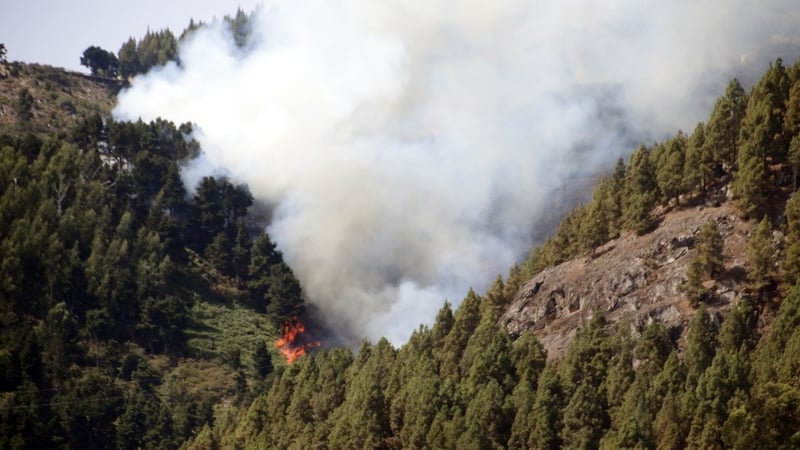 More than a dozen water-dropping helicopters and planes are involved in the operation