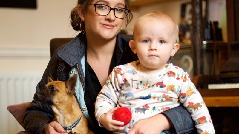 Train Your Baby Like a Dog