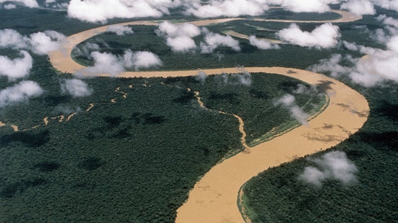 The Amazon forest is home to a biodiversity sanctuary that is unique in the world