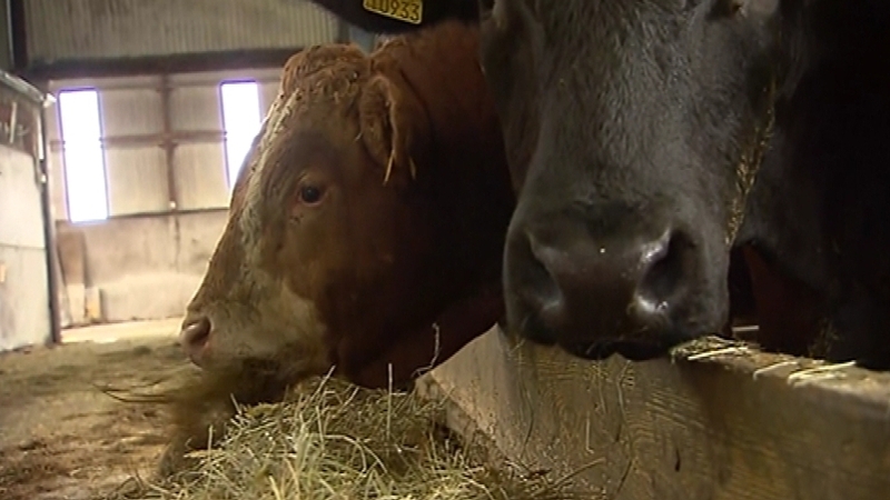 The tool compares prices back as far as 2014