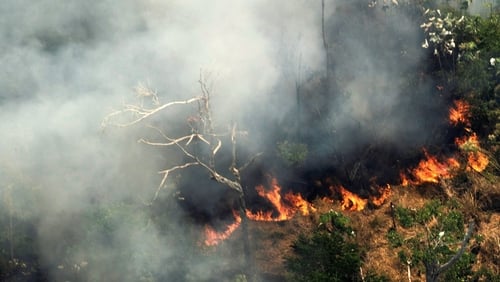 The dramatic scale of this year's fires is the result of a significant acceleration of deforestation