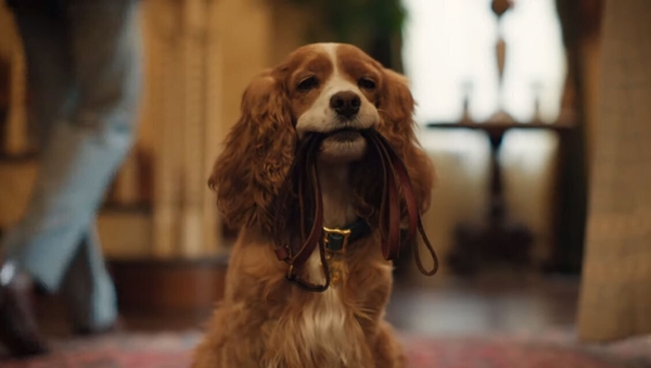 Lady and the Tramp trailer released