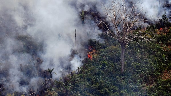 Some 1,663 new fires were ignited between Thursday and Friday in the Amazon