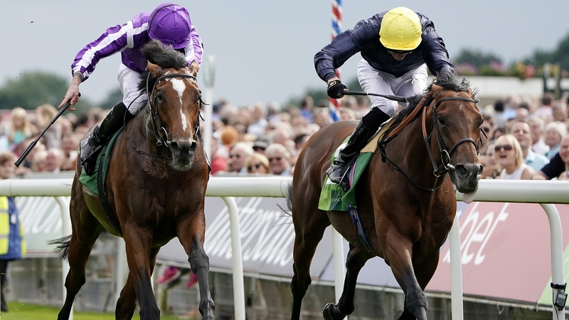 Ryan Moore riding Japan (purple) en route to victory in the Juddmonte International Stakes