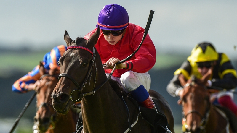 Skitter Scatter was well beaten in the 1000 Guineas at Newmarket on her only start this season.