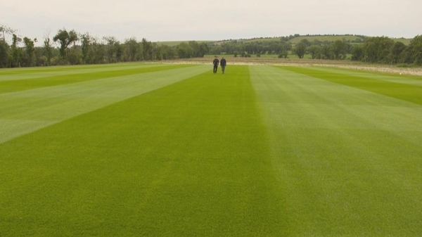 The perfectly manicured turf in the Naul