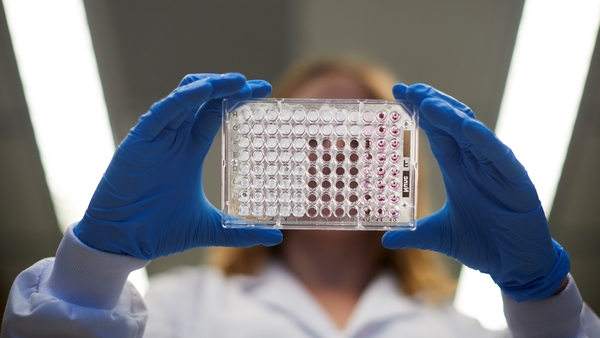 In Ireland, 126 clinical studies are under way, compared with 322 for Denmark and 687 for Belgium