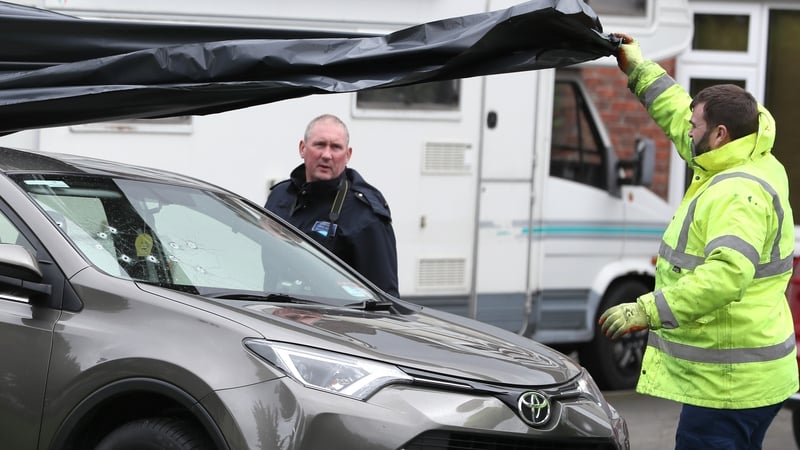 The incident happened in Griffeen Glen Park in Lucan