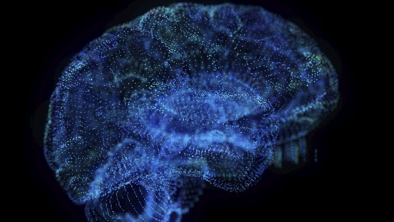 Psychedelics cause greater connectivity between brain areas which don't usually communicate