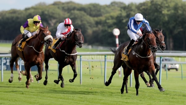 Hello Youmzain (blue silks) won two of his five starts last season