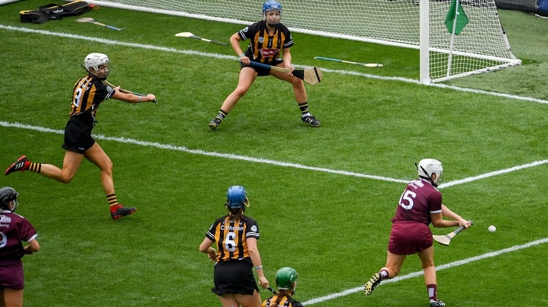 All camogie fixtures are on hold until late April