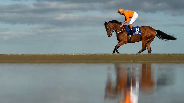 Beach body ready - Loose Chippings' rippling hind quarters powered him to a maiden victory at the 26th attempt