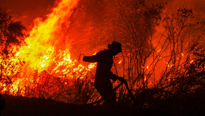 Illegal blazes to clear land for agricultural plantations have been raging on Sumatra and Borneo islands