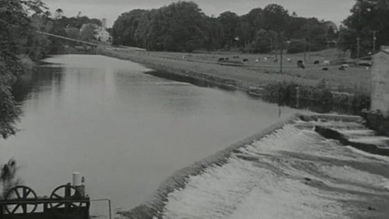 The Liffey in County Kildare.
