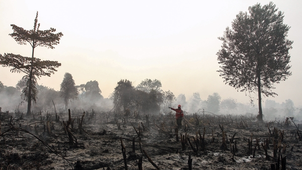 A fireman inspects burned land in Kampar, Riau province, Indonesia
