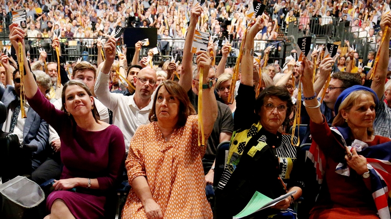The Liberal Democrats has cast itself as the only 'Stop Brexit' party
