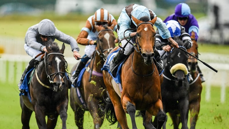 Fairyland, centre, with Ryan Moore up