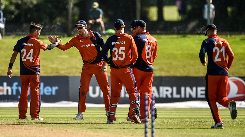 The Netherlands players celebrate after taking a wicket at Malahide Cricket Club