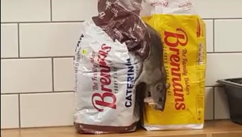 The footage was filmed at an Applegreen station in Cherry Orchard, Dublin