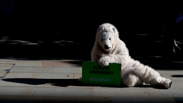 A person dressed as a polar bear at the UK Student Climate Network's Global Climate Strike in Manchester