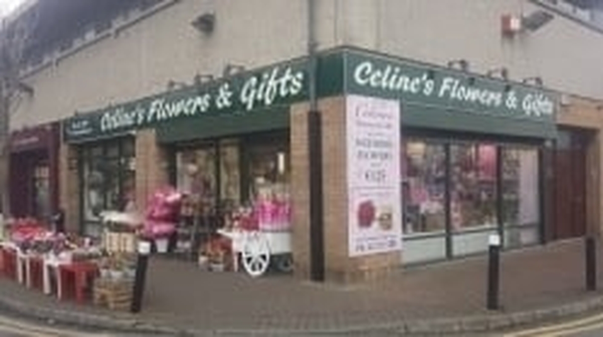 Celine - Tallaght Florist