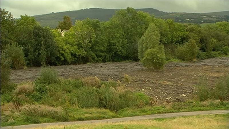 It is feared that thousands of small animals may have been killed