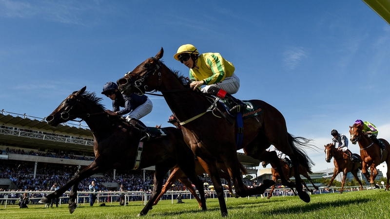 Nurse Barbara (near side) was edged out by a nose on her most recent outing