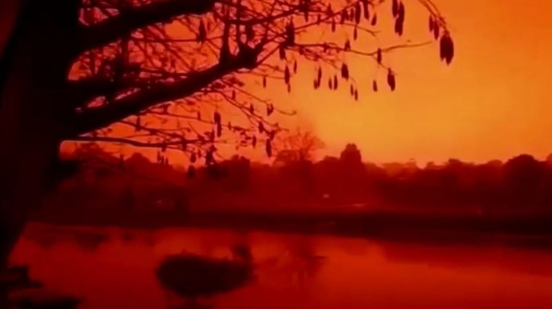 Image: Instagram/@dani_kholik