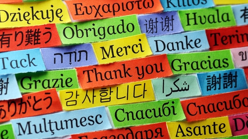 "A complete knowledge of a language is not a pre-requisite to either speaking or writing it" Photo: Getty