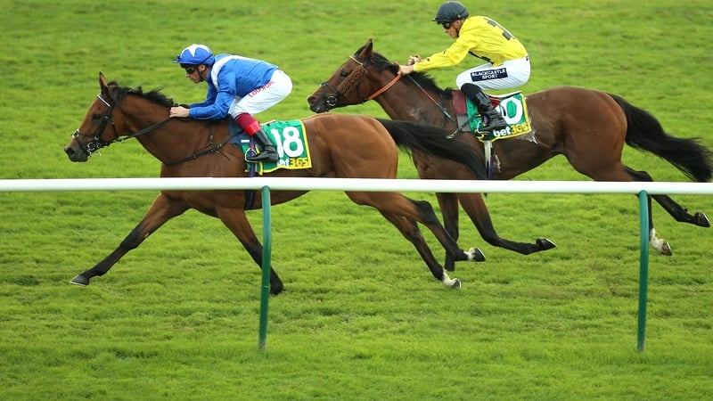 Lord North leads home Beringer