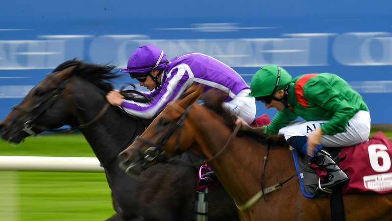 Innisfree has now accounted for Shekhem by a neck in two of his three racecourse starts