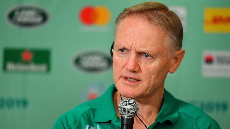 Joe Schmidt hinted at his unhappiness with the officiating in Ireland's loss to Japan