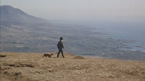 Beara Peninsula