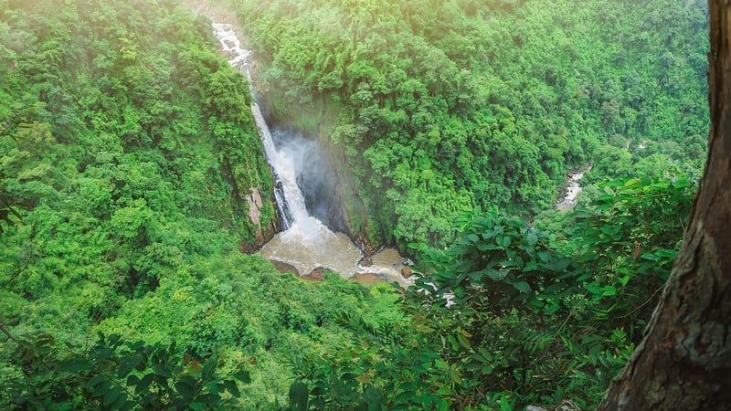 Two elephants were saved in the incident at the Haew Narok Waterfall (File image)
