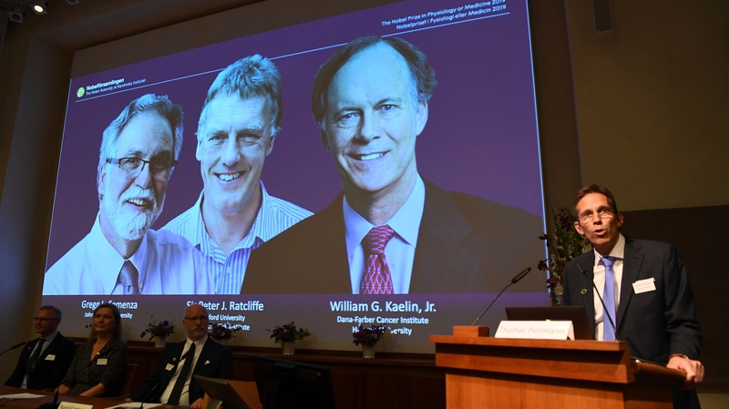 William Kaelin and Gregg Semenza of the US and Britain's Peter Ratcliffe led a research into cells and oxygen