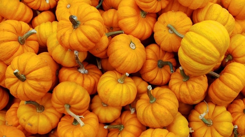 Pies, potatoes, puddings… this is the time to cosy up to some hearty seasonal nosh.