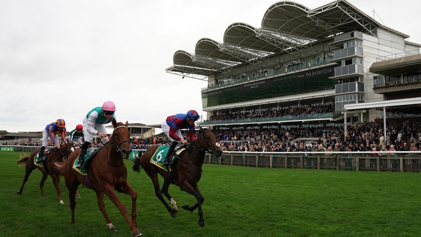 Quadrilateral (near side) is a best price of 8-1 for next year's 1000 Guineas