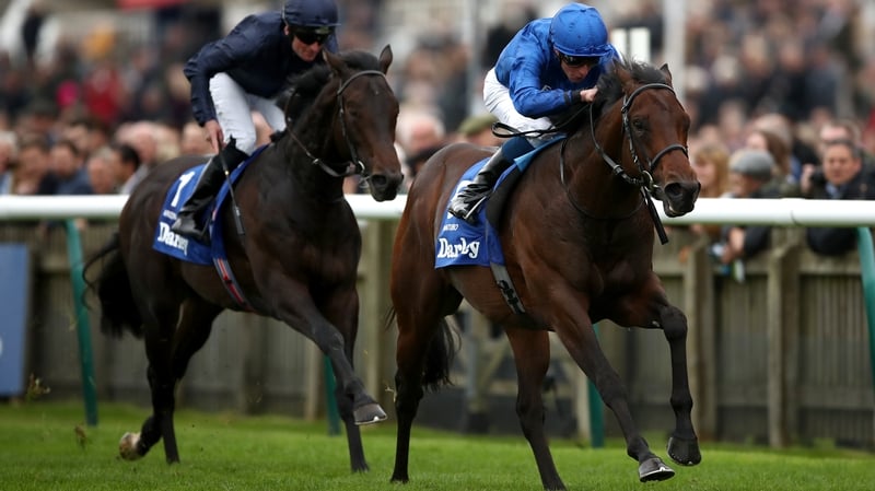 Pinatubo comes home ahead of Arizona in last season's Dewhurst Stakes