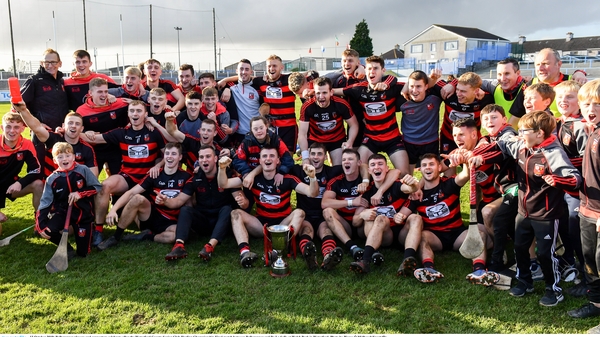 Ballygunner celebrate their win