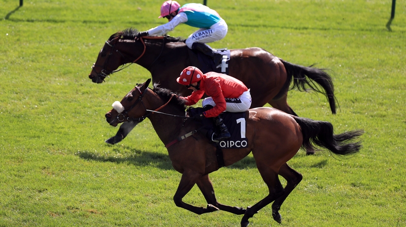 Mabs Cross (near side) is as big as 33-1 for Ascot's Group One sprint