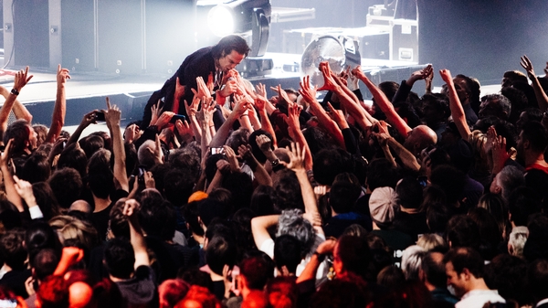 Nick Cave