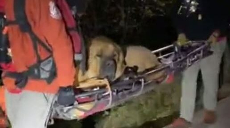 Courtesy: Salt Lake County Sheriff's Search and Rescue