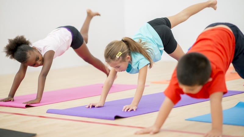 'Downward dog' with this sort of thing - Bishop Cullinan said yoga was not suitable to a parish school setting