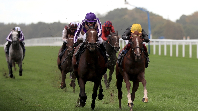 Kew Gardens ridden by Donnacha O'Brien (l) prevailed in a thriller