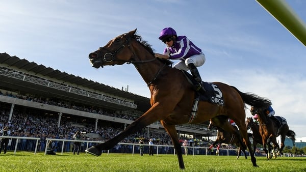 Magical goes in the Pretty Polly Stakes