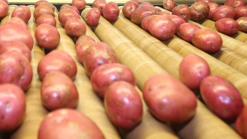 The three day event will see 60 speakers and over 1,000 delegates from around the world