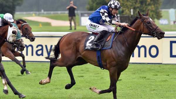 The progressive Danceteria has won three of her five starts in 2019