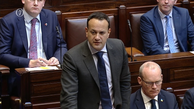 Leo Varadkar confirmed reports that he voted for colleagues who were in the Dáil chamber but not in their seats