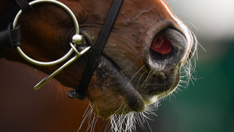 France will run three race meetings 'behind closed' doors this week.